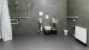 Plaša labierīcību telpa. Tumši pelēkas grīdas flīzes, tumši zaļas sienas flīzes. Redzams tualetes pods ar rokturiem, radiators un dušas stūris ar dušas saizkaru.